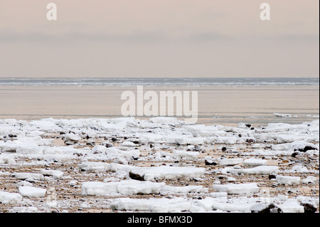 Küste der Hudson Bay im frühen Winter, Churchill, Manitoba, Kanada Stockfoto