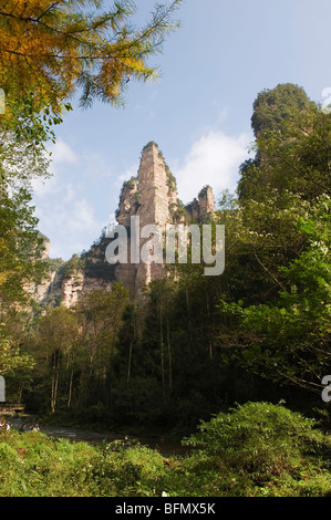 China, Provinz Hunan, Kalksteinfelsen, Waldpark Zhangjiajie, Wulingyuan Scenic Area, Unesco Weltkulturerbe Stockfoto