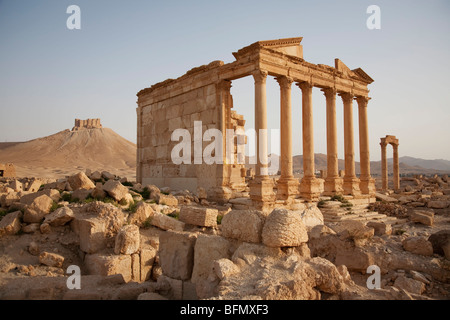 Syrien, Palmyra. Das Finanzministerium. Gefallene Spalten Wurf auf den Boden auf dem Gelände der antiken Stadt der Königin Zenobia in Palmyra. Stockfoto