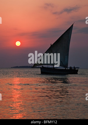 Tansania, Sansibar. Eine Dhau fährt zurück nach Zanzibar Hafen bei Sonnenuntergang. Stockfoto