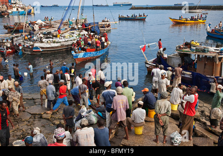 Tansania, Sansibar, Stonetown. Eine Szene in Zanzibar s Dhau-Hafen als Menschen warten, Fisch zu kaufen, von der Rückkehr Nacht Fischer Stockfoto