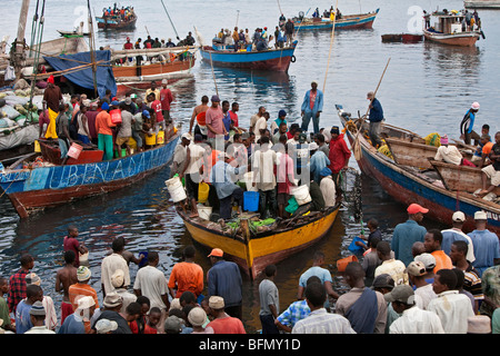 Tansania, Sansibar, Stonetown. Eine Szene in Zanzibar s Dhau-Hafen als Menschen warten, Fisch zu kaufen, von der Rückkehr Nacht Fischer Stockfoto