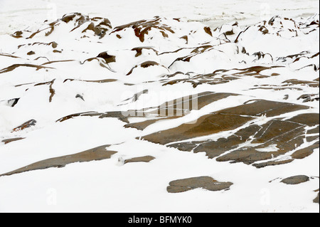 Hudson Bay Küstenfelsen im frühen Winter, Churchill, Manitoba, Kanada Stockfoto