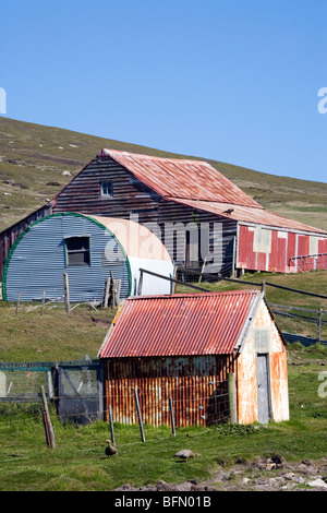 Falkland-Inseln, Island Kadaver. Wirtschaftsgebäude in der Siedlung mit Blick auf Hafen Pattison. Stockfoto