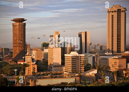 Kenia, Nairobi. Skyline von Nairobi gebadet im späten Nachmittag Sonne als eine Herde von Sacred Ibis fliegen über Kopf. Stockfoto
