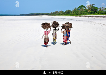 Kenia, Mombasa. Frauen tragen auf ihren Köpfen Makuti (getrocknete Kokosnuss Palmwedel als Dachmaterial verwendet) an einem Strand. Stockfoto