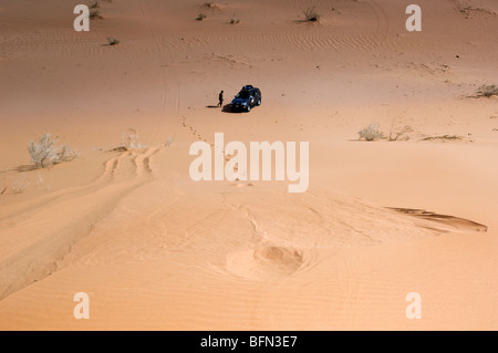 Natürlichen Welt der Wüste in Jordanien Stockfoto