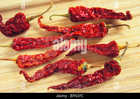 getrocknete rote Chilischoten Stockfoto