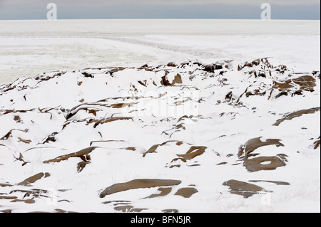 Hudson Bay Küstenfelsen im frühen Winter, Churchill, Manitoba, Kanada Stockfoto