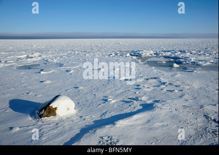 Küste der Hudson Bay im frühen Winter, Churchill, Manitoba, Kanada Stockfoto