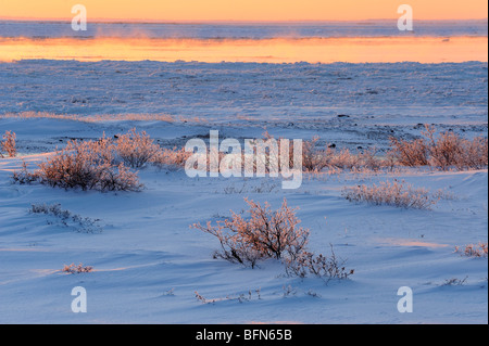 Küste der Hudson Bay im frühen Winter, Churchill, Manitoba, Kanada Stockfoto