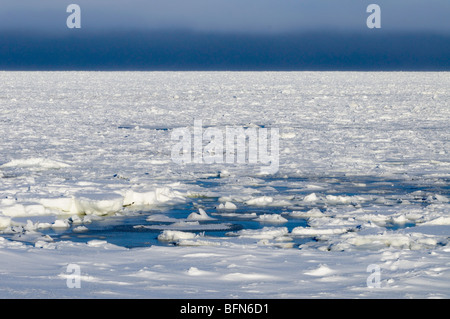 Küste der Hudson Bay im frühen Winter, Churchill, Manitoba, Kanada Stockfoto