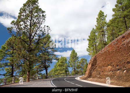 Straße im Teide-Nationalpark Teneriffa Kanarische Inseln Stockfoto