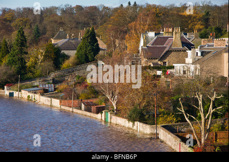 Fluss-Tweed Überschwemmungen in Kelso 2009 Schottland erreicht Gartenmauern aber Häuser sind auf eine höhere Ebene und Flussufer führt Hochwasser Stockfoto