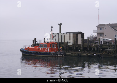 Lotsenboot vertäut im Hafen, Halifax, Nova Scotia an einem nebeligen Tag Stockfoto