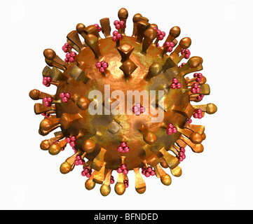 Computergenerierte dreidimensionalen Modells der H5N1-Vogelgrippe-Virus. Stockfoto