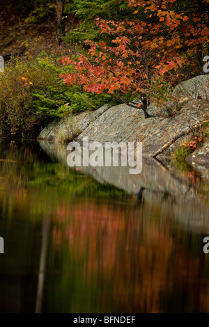 Herbst-Szene in den Adirondack Mountains - New York - USA Stockfoto