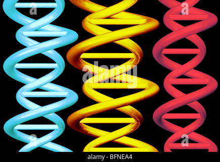 computergenerierte drei dimensionale Modell der DNA-Doppelhelix Stockfoto