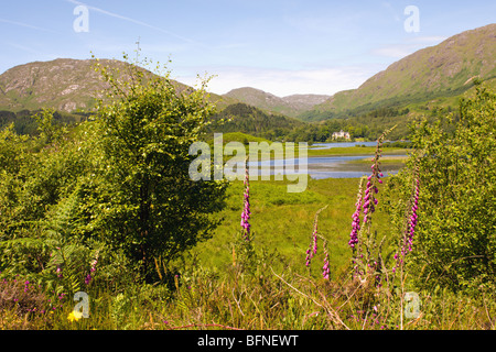 Blick über ein man und Loch Shiel Glenfinnan House Hotel Stockfoto