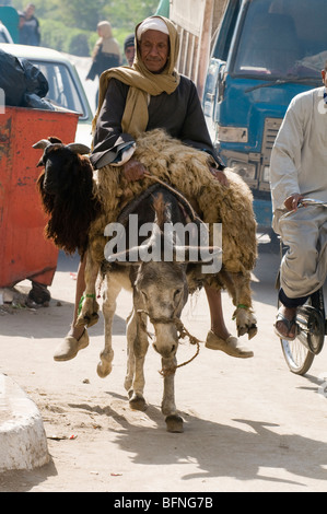 Eine alte Schäfer kommt in Luxor Stadt auf einem Esel tragen eine Ziege. Stockfoto