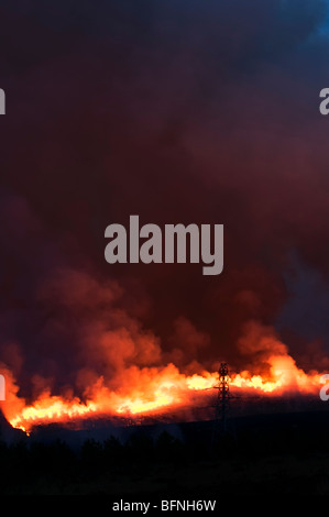 Hill-Brände auf Hügeln in der Nähe von A836 zwischen Lairg und Bonar Bridge in Schottland in der Abenddämmerung mit brennenden Heidekraut und Pinsel genommen Stockfoto