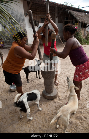 Schwarze Frauen Reiskorn in hölzernen Mörtel auf Agrovila Marudá, ein Quilombo im Nordosten Brasiliens Alcântara, Maranhão, hämmerte. Stockfoto