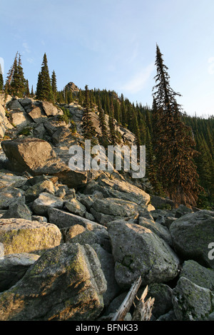 Robuste Bergweg zur Jagd Creek Teich, östlich von Priest Lake, Idaho in den Selkirk Mountains. Stockfoto