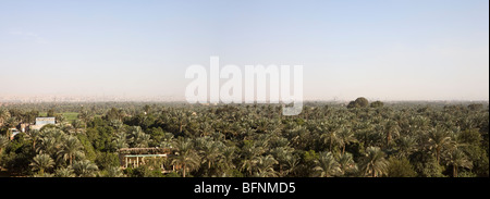 Panorama-Aufnahme der Blick auf das fruchtbare Land ergriffen von dem Hügel bei Sakkara in der Nähe von Kairo Stockfoto