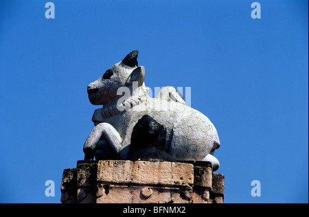 Nandi; Nandin; heiliger Stierkalb, Torhüter, Träger vahana des Hndu Gottes Shiva; Lingaraja Tempel; Bhubaneswar; Orissa; odisha; Indien; asien Stockfoto