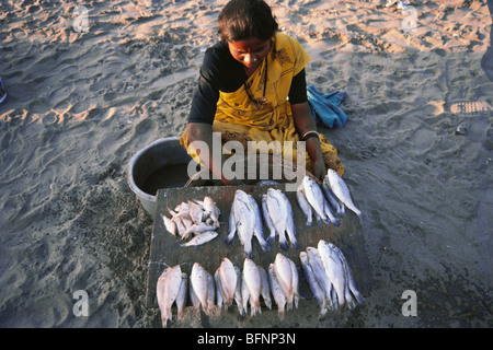 Frau, die Fisch verkauft; Versova; Andheri; Bombay; Mumbai; Maharashtra; Indien; Asien Stockfoto
