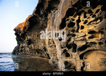 Bienenstock Felsen; Felsenstock; Erosion durch Meer; Harihareshwar Strand; Hareshwar; Raigad; Maharashtra; Indien; Asien Stockfoto