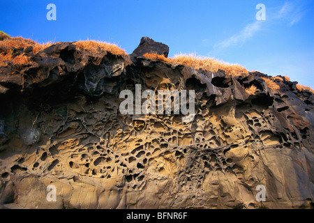 Bienenstock Felsen; Felsenstock; Erosion durch Meer; Harihareshwar Strand; Hareshwar; Raigad; Maharashtra; Indien; Asien Stockfoto