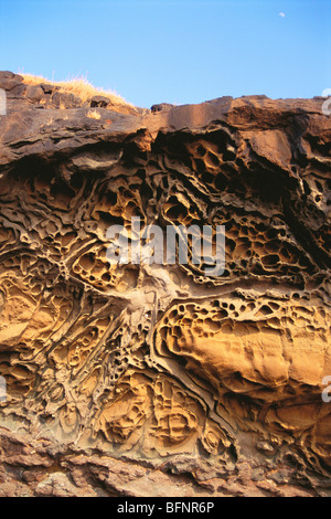 Bienenstock Felsen; Felsenstock; Erosion durch Meer; Harihareshwar Strand; Hareshwar; Raigad; Maharashtra; Indien; Asien Stockfoto