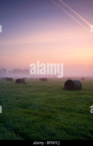 Heuballen im Nebel in der Norfolk-Landschaft in der Dämmerung Stockfoto