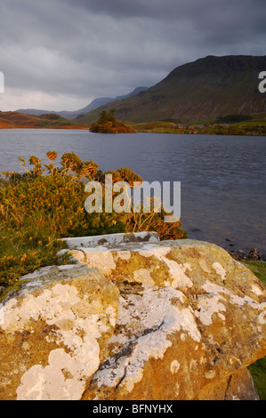 Spätabends Sonneneinstrahlung auf Cregennen in der Nähe von Seen Ortszentrum Snowdonia Wales Stockfoto