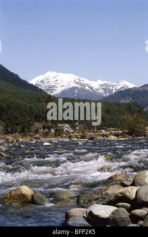 Limdder River; Liddar River; Jhelum River; Pahalgam; Anantnag; Jammu and Kashmir; Indien; Asien Stockfoto