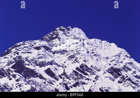 Schneebedeckte Spitze; Solang Tal; Manali; Himachal Pradesh; Indien; asien Stockfoto