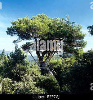 Baumhaus mit Bau-Gürtel aus Stahl, ausgekleidet mit Kautschuk ermöglicht Baum Raum zum wachsen, Zeder Treppen und Kabine Stockfoto