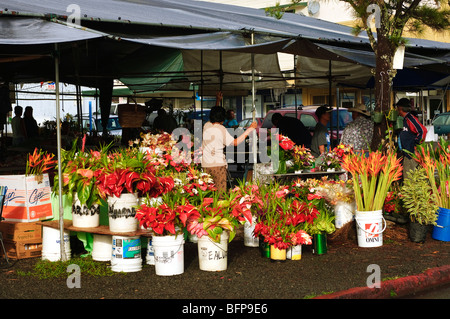 Hilo Bauernmarkt, Big Island Hawaii. Stockfoto