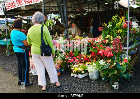 Hilo Bauernmarkt, Big Island Hawaii. Stockfoto