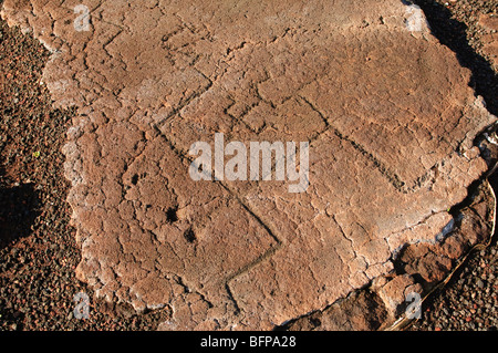 Waikoloa & Puako Petroglyphs, Big Island Hawaii. Stockfoto