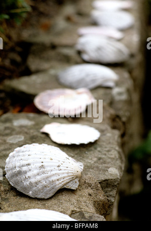 Eine Reihe von Jakobsmuscheln auf einer Steinmauer Stockfoto