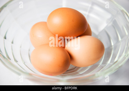 Fünf Eiern in eine Glasschüssel Stockfoto