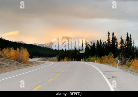 David Thompson Highway in Herbst, Abraham Lake Recreation Area, Alberta, Kanada Stockfoto