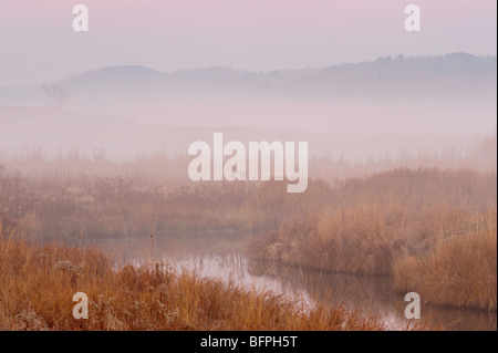 Morgennebel bei Robinson See und Bach bei Sonnenaufgang, Greater Sudbury, Ontario, Kanada Stockfoto