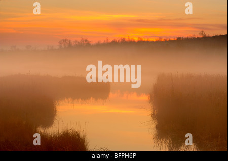 Morgennebel bei Robinson See und Bach bei Sonnenaufgang, Greater Sudbury, Ontario, Kanada Stockfoto