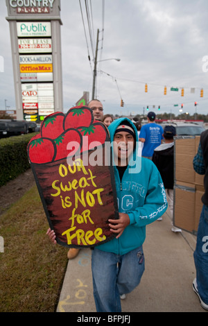 Landarbeiter Picket Publix Supermarkt in Versuch, Gehaltserhöhung für die Kommissionierung Tomaten Stockfoto