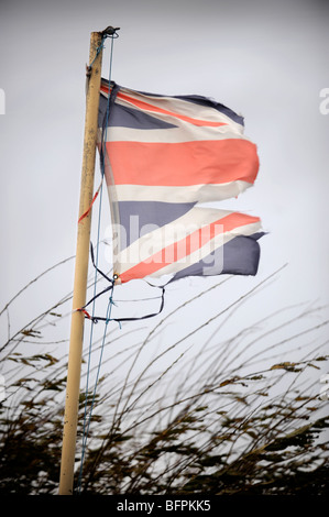 Eine britische Flagge zerrissen in einem Sturm UK Stockfoto