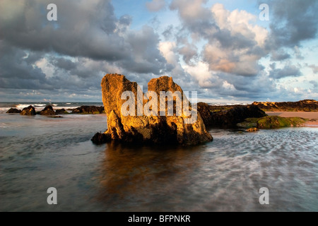 Felsen am Weststrand, in der Nähe von Lossiemouth, Moray, Schottland, Vereinigtes Königreich Stockfoto