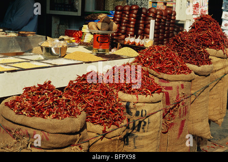 Getrocknete rote Chilischoten auf dem Großhandelsmarkt, Lalbaug, Bombay, Mumbai, Maharashtra, Indien, indischer Gewürzmarkt Stockfoto